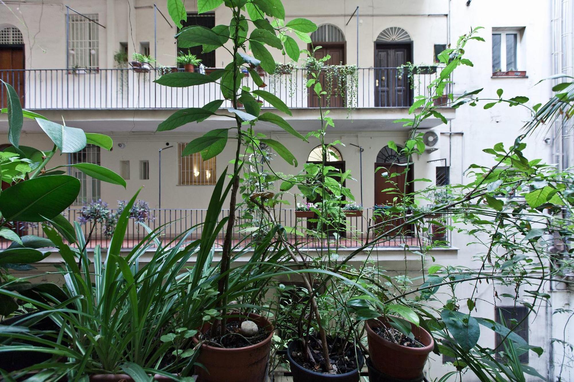 Gianicolo Holiday House Roma Exterior foto